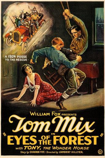 Eyes of the Forest (1923) poster