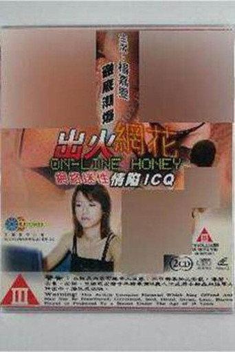 出火网花 (1999) poster