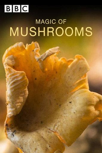 The Magic of Mushrooms (2014) poster