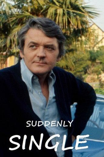 Suddenly Single (1971) poster