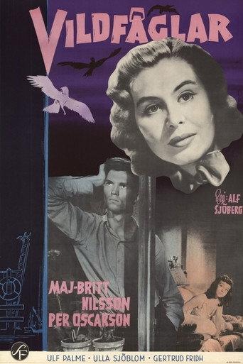 Wild Birds (1955) poster