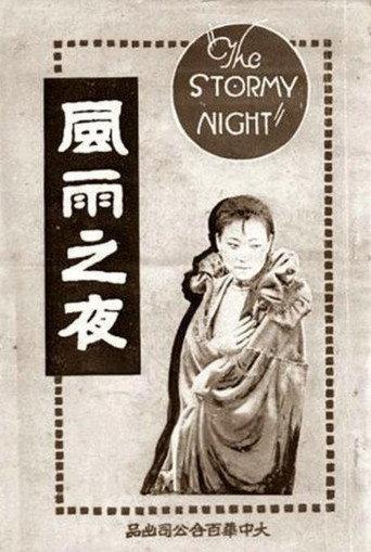 The Stormy Night (1925) poster