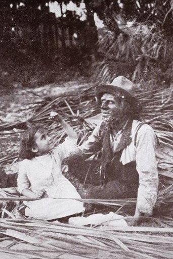 The Message of the Palms (1913) poster