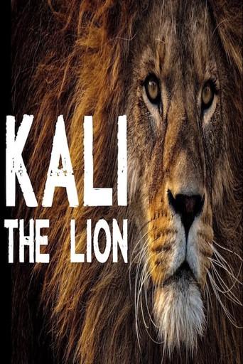 Kali the Lion () poster
