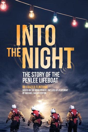 Into the Night (2021) poster