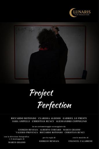 Progetto Perfezione (2025) poster