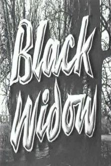 Black Widow (1951) poster