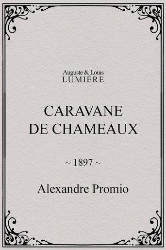 Caravane de chameaux (1897) poster