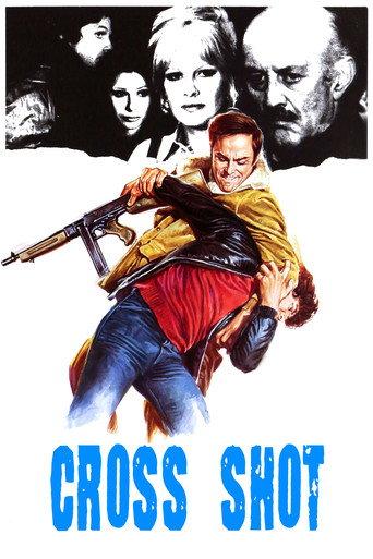 Cross Shot (1976) poster