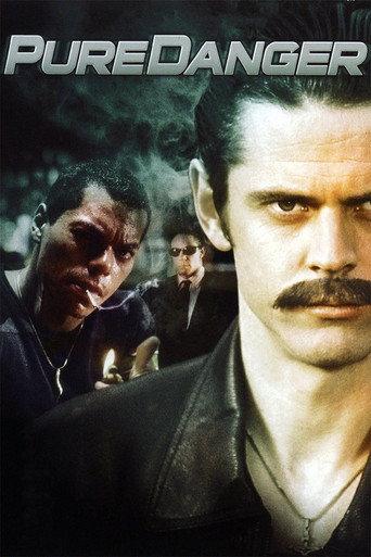Pure Danger (1996) poster