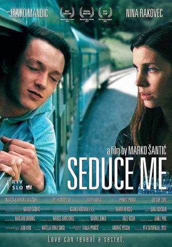 Seduce Me (2013) poster
