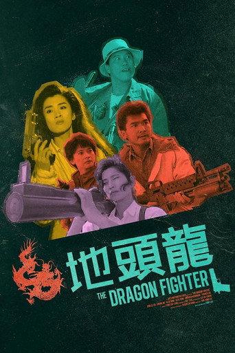 The Dragon Fighter (1990) poster