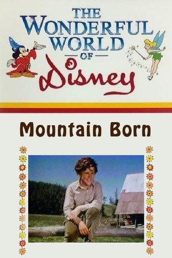 Mountain Born (1972) poster