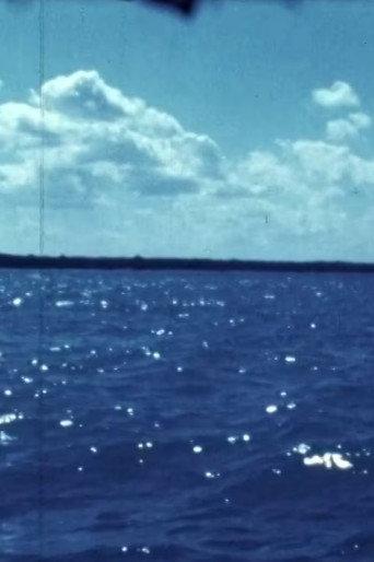 Woman Water Huron Goodbye (1981) poster