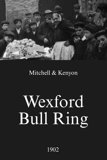 Wexford Bull Ring (1902) poster