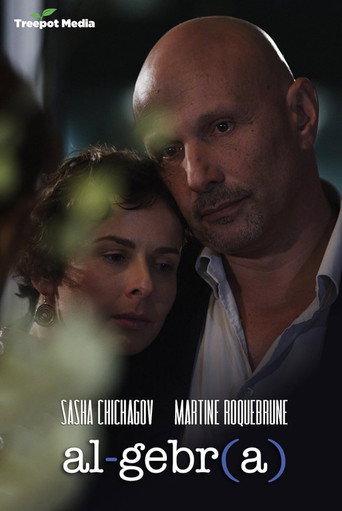 Algebra: A Reunion of Broken Parts (2012) poster