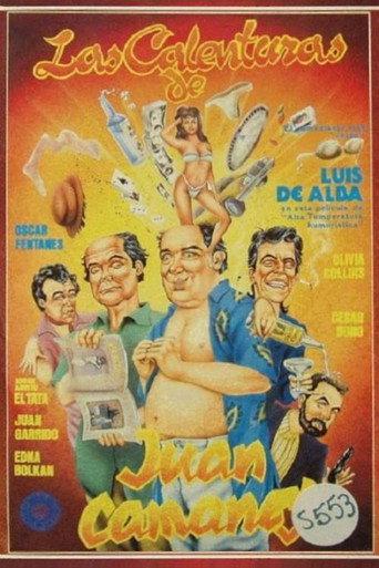 Las calenturas de Juan Camaney (1988) poster