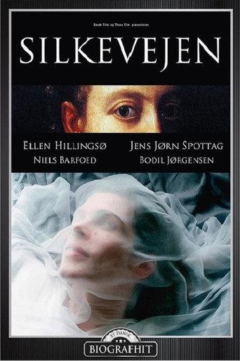 Silk Road (2004) poster