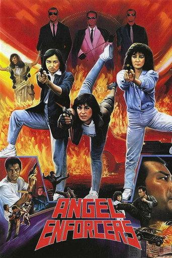 Angel Enforcers (1989) poster