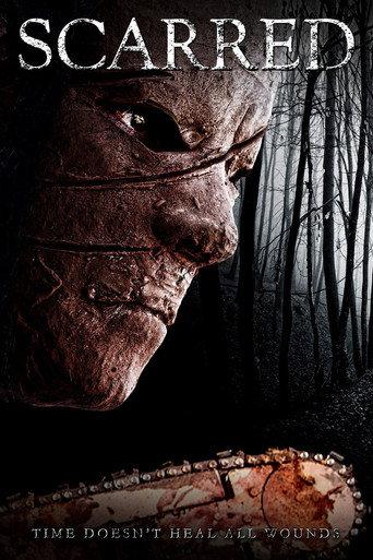 Scarred (2013) poster