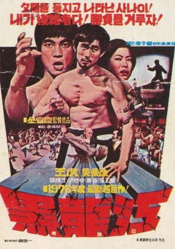 The Martialmates (1976) poster