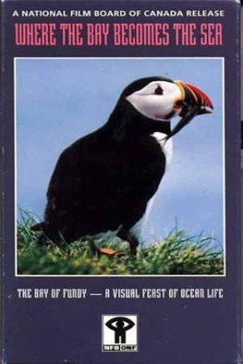 Where the Bay Becomes the Sea (1985) poster