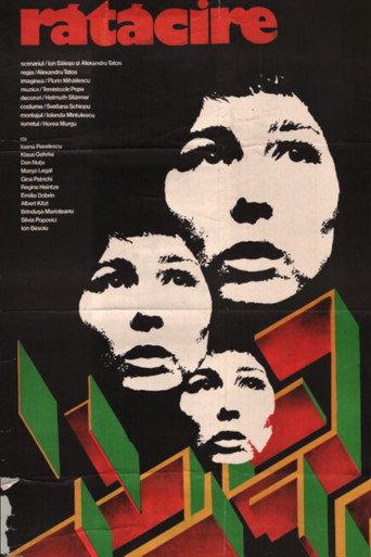 Astray (1978) poster