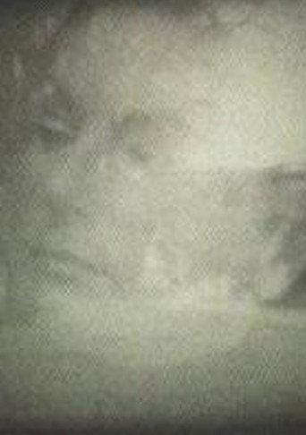 Yo veo conejos (1967) poster