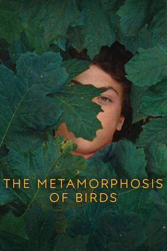 The Metamorphosis of Birds (2021) poster
