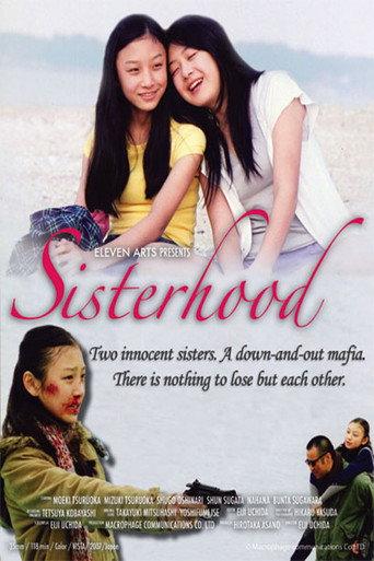 Sisterhood (2008) poster