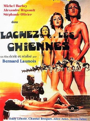 Let the Bitches Loose (1973) poster