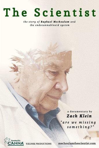 The Scientist: Are We Missing Something? (2015) poster
