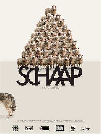 Sheep (2025) poster