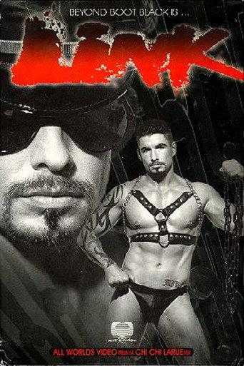 Link (1998) poster