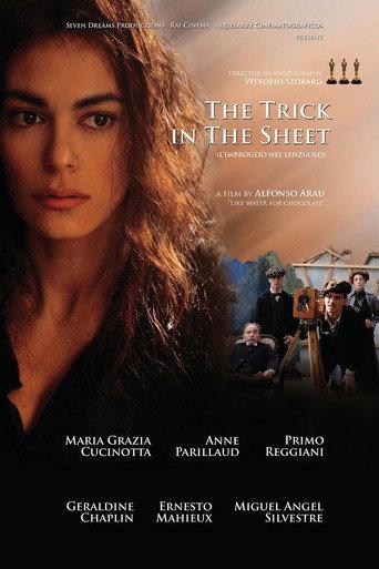L'imbroglio nel lenzuolo (2010) poster