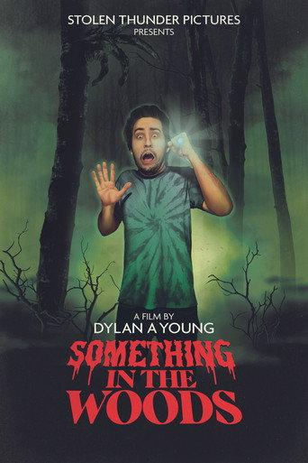 Something in the Woods () poster