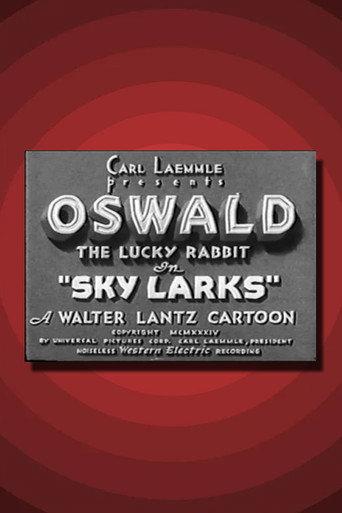 Sky Larks (1934) poster