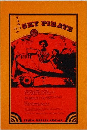 The Sky Pirate (1969) poster
