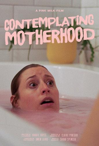 Contemplating Motherhood () poster