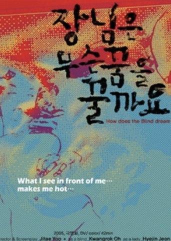 How Does the Blind Dream (2005) poster