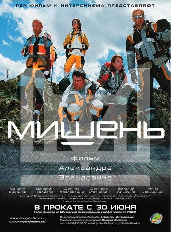 Target (2011) poster