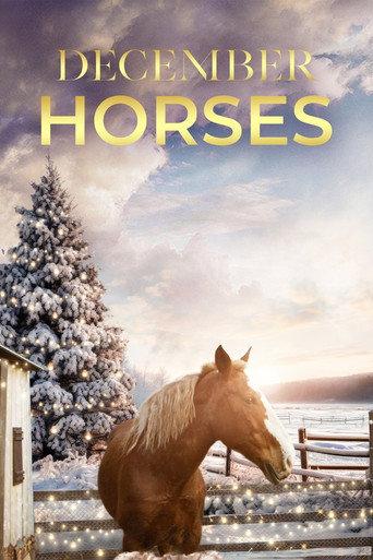 December Horses () poster