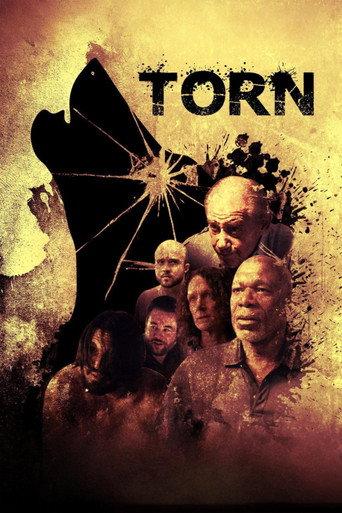 Torn (2023) poster