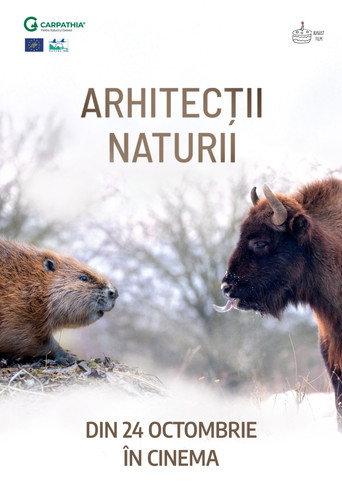 Nature's Architects (2025) poster