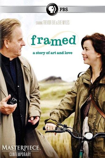 Framed (2009) poster