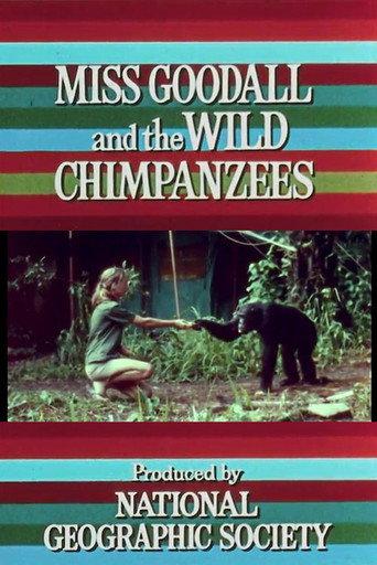 Miss Goodall and the Wild Chimpanzees (1965) poster