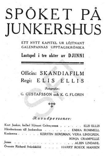 The Ghost of Junkershus (1918) poster