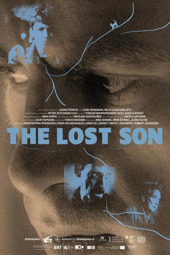 The Lost Son () poster