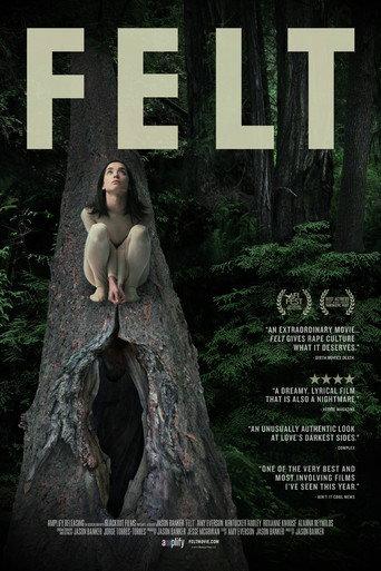 Felt (2014) poster