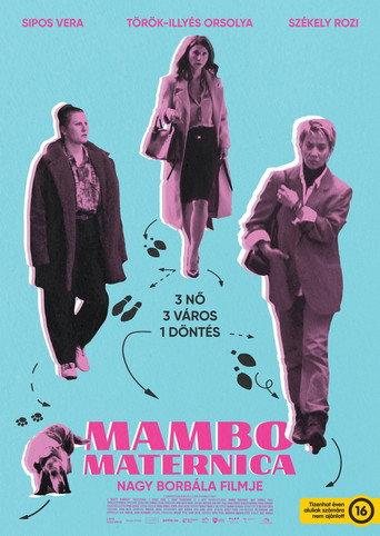 Mambo Maternica (2026) poster
